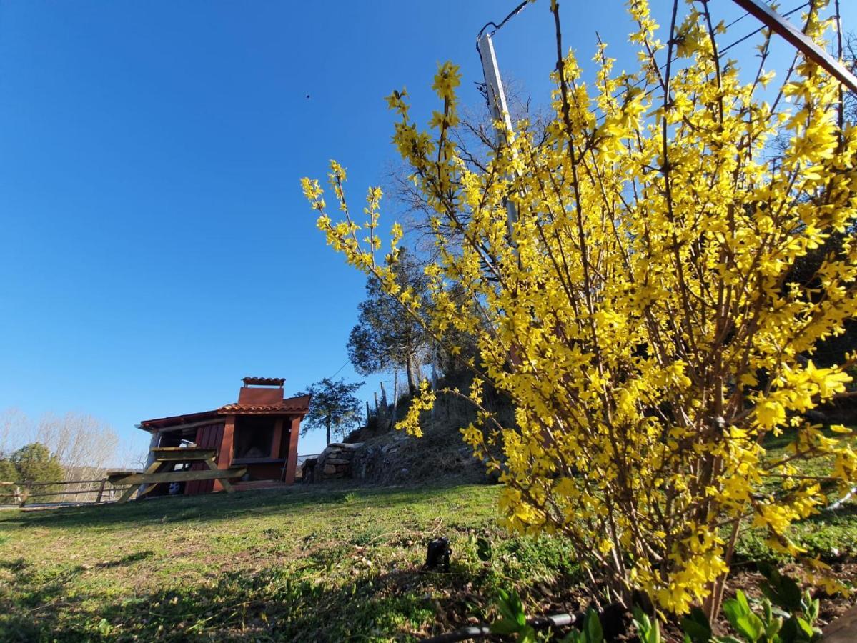 Casa Rural Manitoba Luxe Buenache de la Sierra Dış mekan fotoğraf